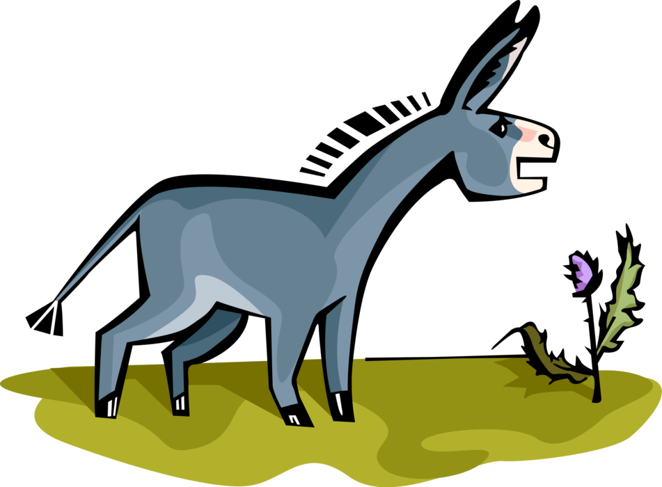 Vector Illustration Of Domesticated Donkey Or Ass - Donkey Farm Rectangle Magnet (951x700)