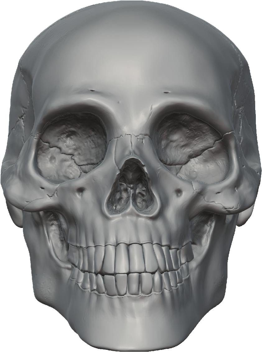 Scary Scull Clip Art - Skeleton Head (1200x1200)