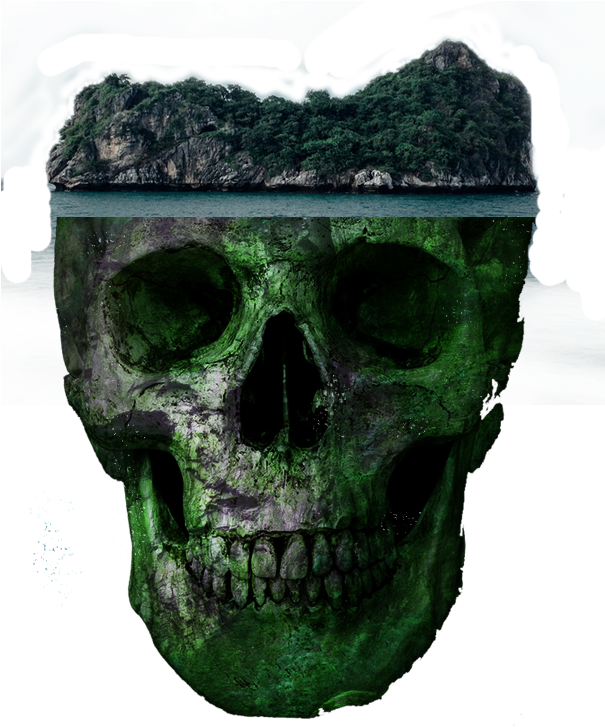 Skull Euclidean Vector - Underwater Skull Throw Blanket (604x752)