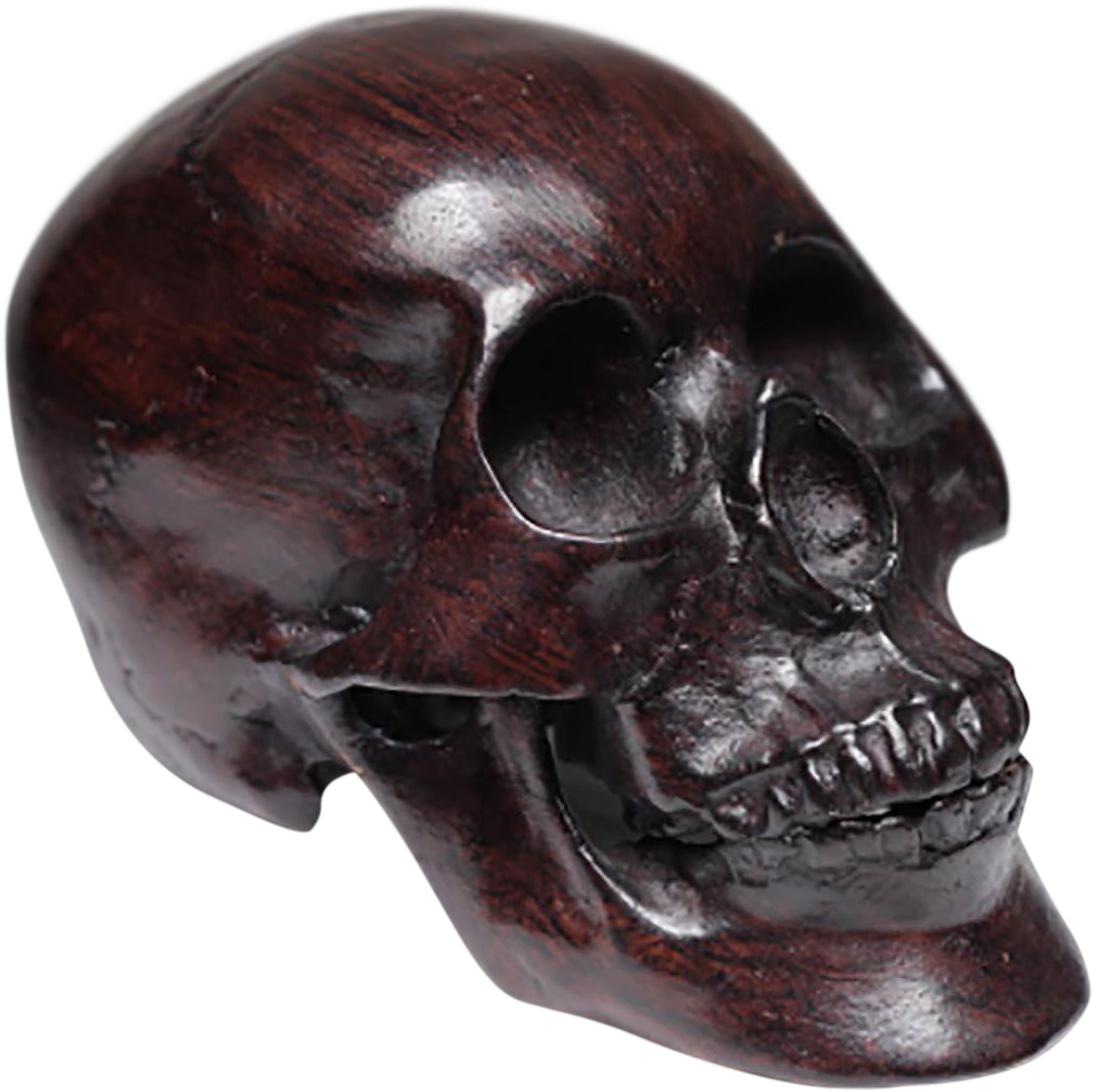 Brozne Cast Skull C - Skull (1213x1211)