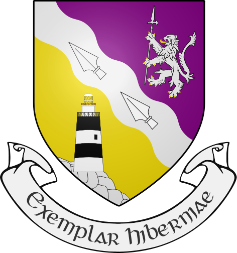 The Hook Lighthouse Appears On The Coat Of Arms Of - Wexford Flag (944x1008)