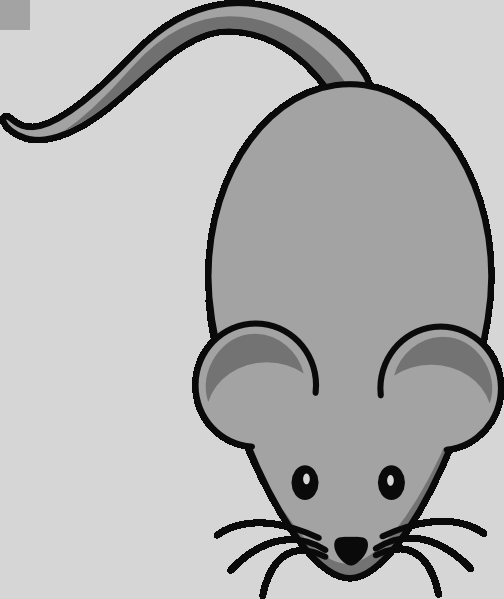 Mouse Clipart Transparent Computer Mouse Clipart Images - Cartoon Mouse Shower Curtain (504x599)
