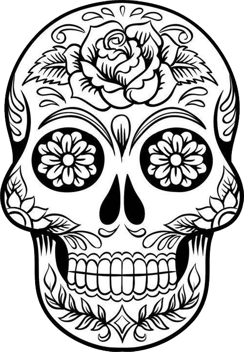 Day Of The Dead Drawing (500x722)