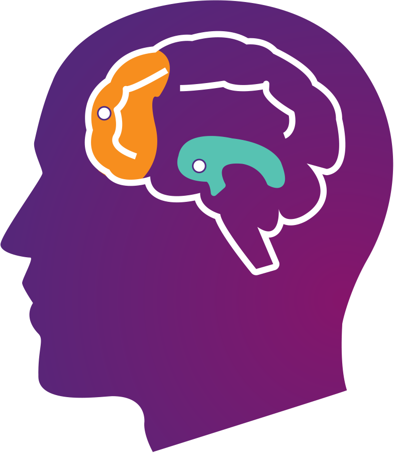 This Is Your Brain On Stress - Stressed Brain Clipart (784x902)