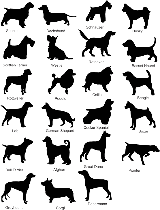 Dog Silhouette Vector Free Download - Dog Silhouette Vector Free (555x728)