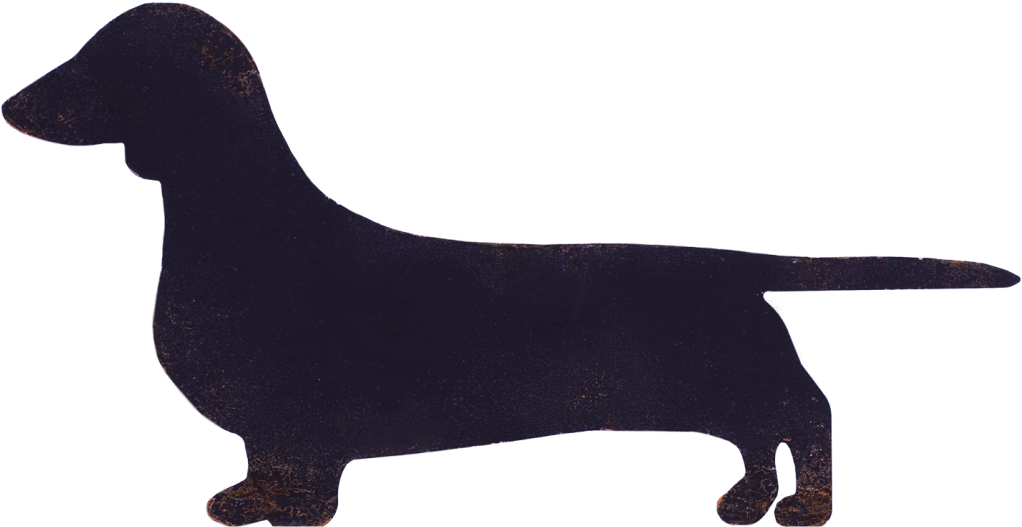 Miniature Dachshund Flat-coated Retriever Dog Breed - Dachshund (1030x535)
