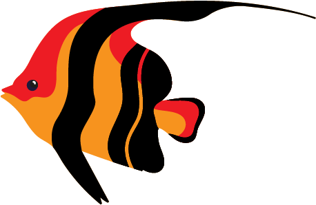 Draw Birds Drawing Cartoon Clip Art - Drawing (512x512)