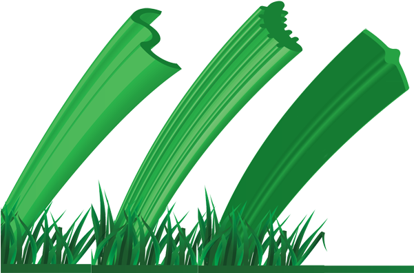 A Series Of Tests In A Controlled Environment Have - Sweet Grass (600x428)