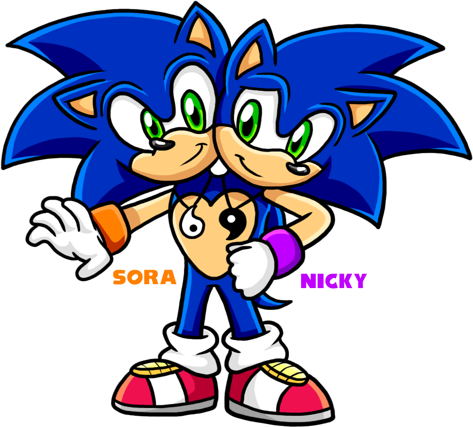 Sora And Nicky - Sonic The Hedgehog Pony (992x898)