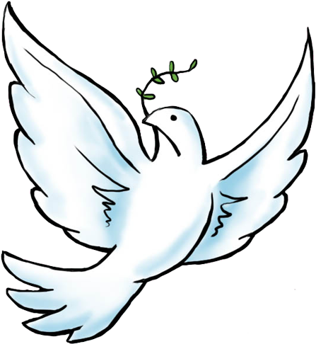 Белый голубь рисунок пнг