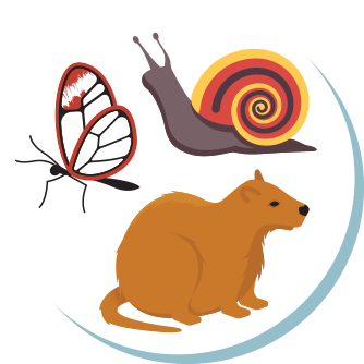 Butterfly Snail Hutia - Butterfly Snail Hutia (360x360)