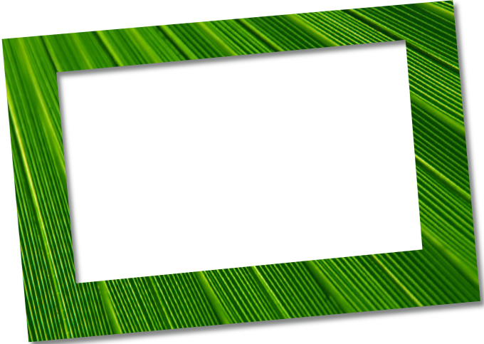 Picture Frame (680x483)