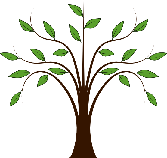 Whispy Tree Xochi - Tree Image Clip Art (789x750)