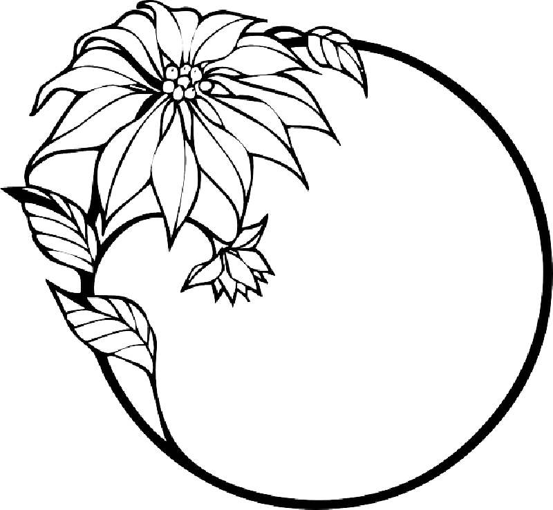 Mb Image/png - Flowers Clip Art Black And White Border (800x738)