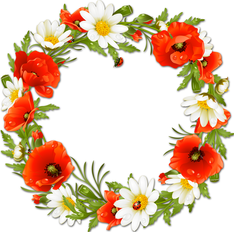 Фото, Автор Bzikolya На Яндекс - Zazzle Custom Poppies Daisies Monogram Flower Wreath (800x795)