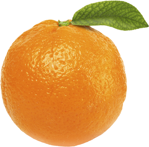 Free Orange Fruit Png - Orange With No Background (500x492)