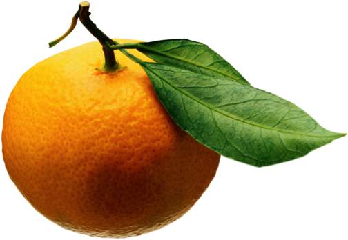 2015 Ucr Orange Blossom Ball - Orange Fruit Leaf Png (511x355)