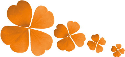 It Takes A Lot Of Effort, Preparation And Correct Timing - Orange Four Leaf Clover (500x256)