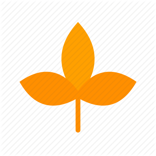 Autumn, Fall, Leaf, Leaves, Maple, Nature, Red Icon - Illustration (512x512)