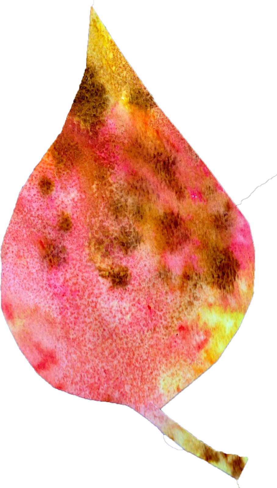 I Walk Around With A Spray Bottle To Quickly And Easily - Electric Ray (938x1600)