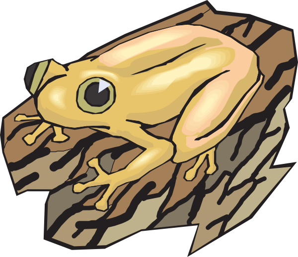 Yellow Frog On A Log Clip Art - Frog On A Log (600x519)