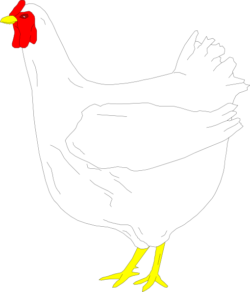 Simple Digital Chicken Drawing - Rooster (510x595)