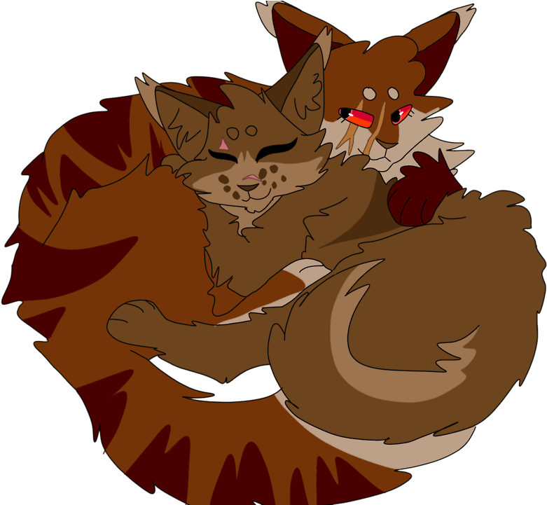 Yeah Can I Get A Fuckin Uhhhhhhhhh Pair Of Fluffy Gfs - Black Cat (1280x720)