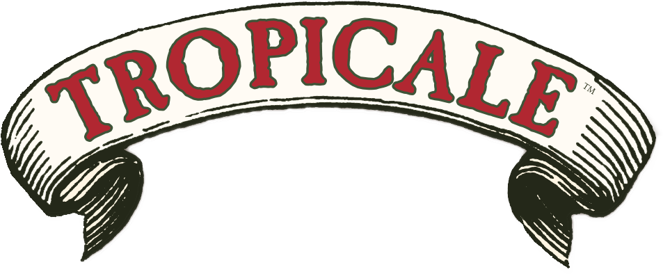 Tropicale Sugar Cubes - Circle (1056x482)