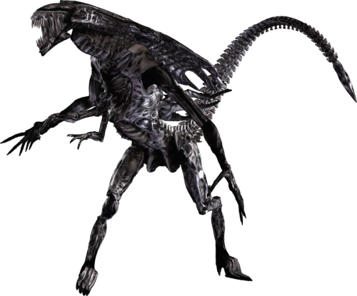 Alien Queen - Xenomorph Queen Png (500x415)
