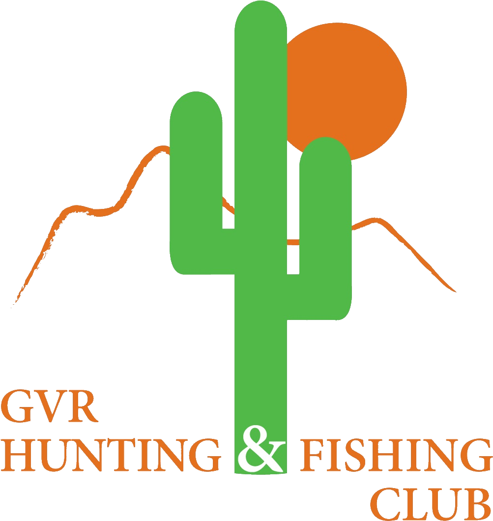 News Flash - Graphic Design (1202x1114)