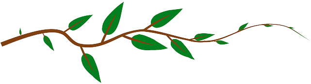 Vine Leaves Green Plantjungle Vine Border Clipart - Tree Branch Shower Curtain (640x320)