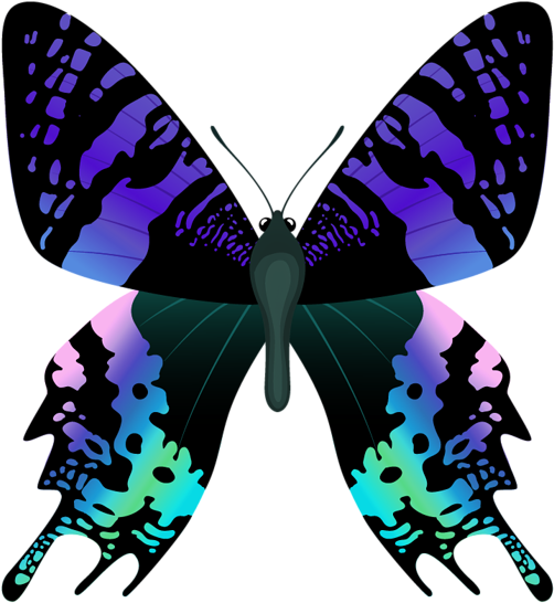 Jungle Clipart Butterfly - Papilio Machaon (586x600)