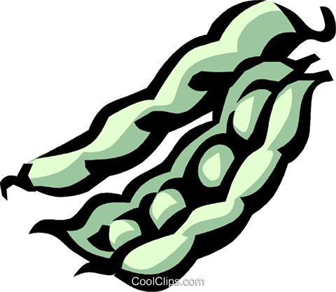 Fava Beans Royalty Free Vector Clip Art Illustration - Clip Art (480x417)