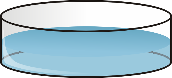 Petri Dish Clip Art Free Vector 4vector - Petri Dish Of Water (600x275)