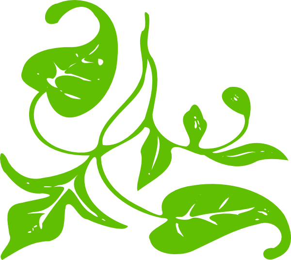 Green Leaf Single Png (600x536)