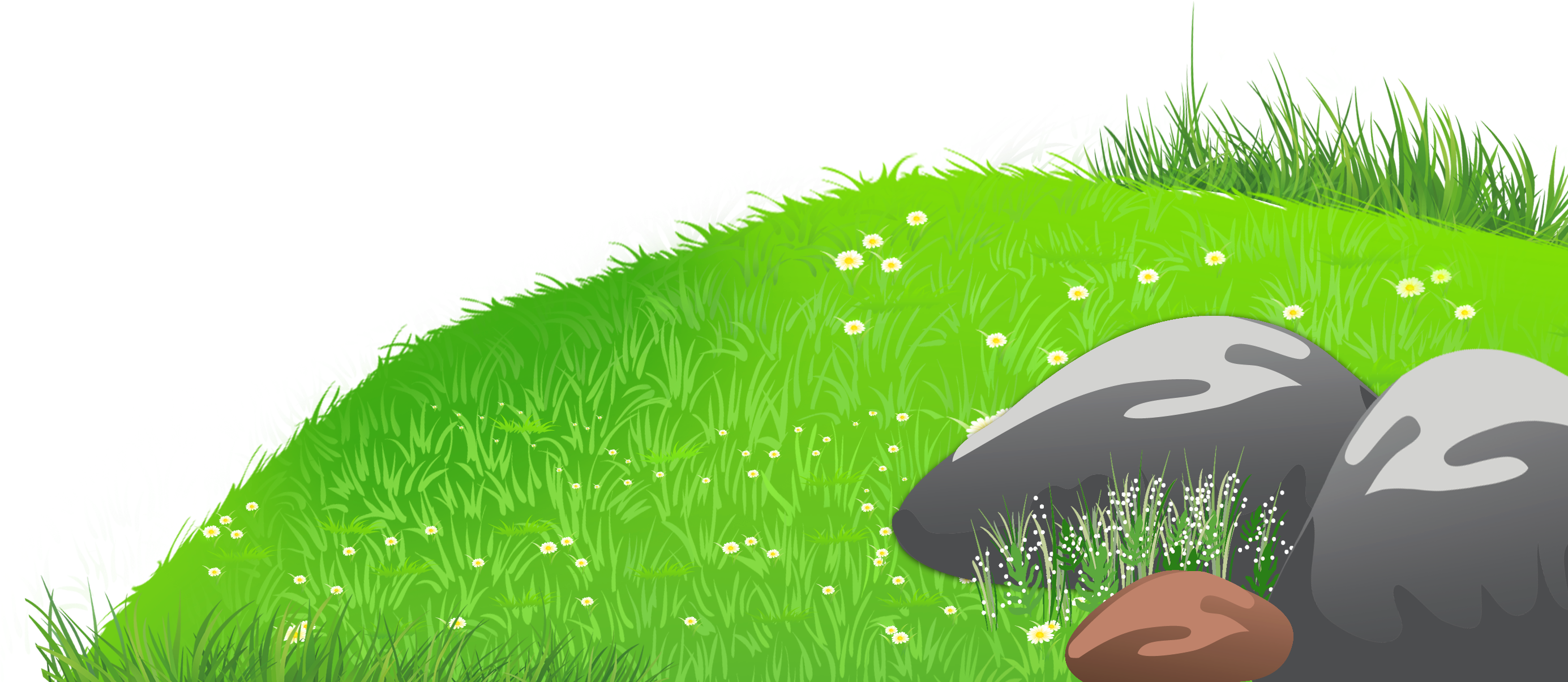 Grass With Stones And Daisies Png Clipart Picture - Grass Clipart (2769x1254)