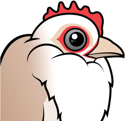 Of Domestic Chicken - Faverolles Chicken (440x440)