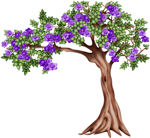 Clip Art - Bougainvillea (600x600)