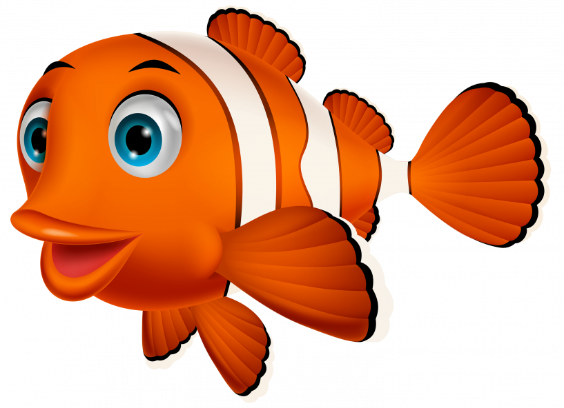 Nemo Fish Png (817x592)