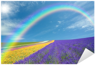 Flower Field And Blue Sky With Clouds - Sky (400x400)