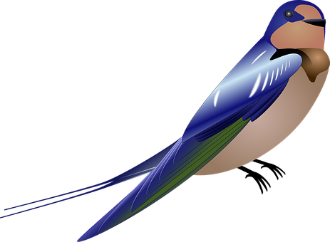 Swallow Bird Blue Wings Tail Perched Aves - Bülbül Clipart (463x340)