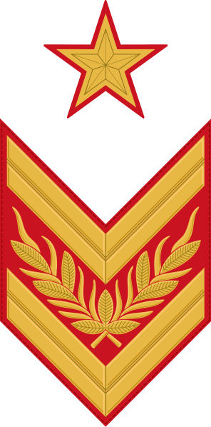 Marshal Of The Soviet Union Rank Insignia , 1940-1943 - Cowboys Logo Pixel Art (296x598)