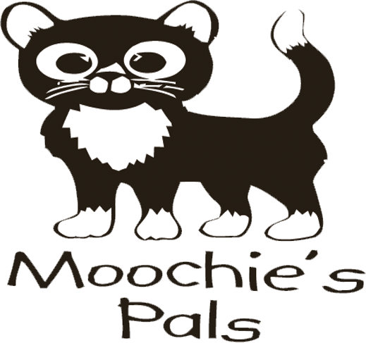 You And Two Friends Will Get An Up Close And Personal - Cartoon (519x487)