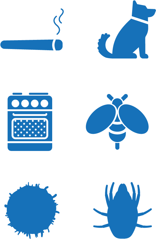 Various Sources Of Harmful Particulate Matter - Various Sources Of Harmful Particulate Matter (594x916)