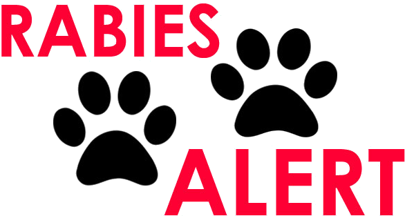 First Reported Case Of Rabies In Kendall County - Jockey Person To Person (600x338)