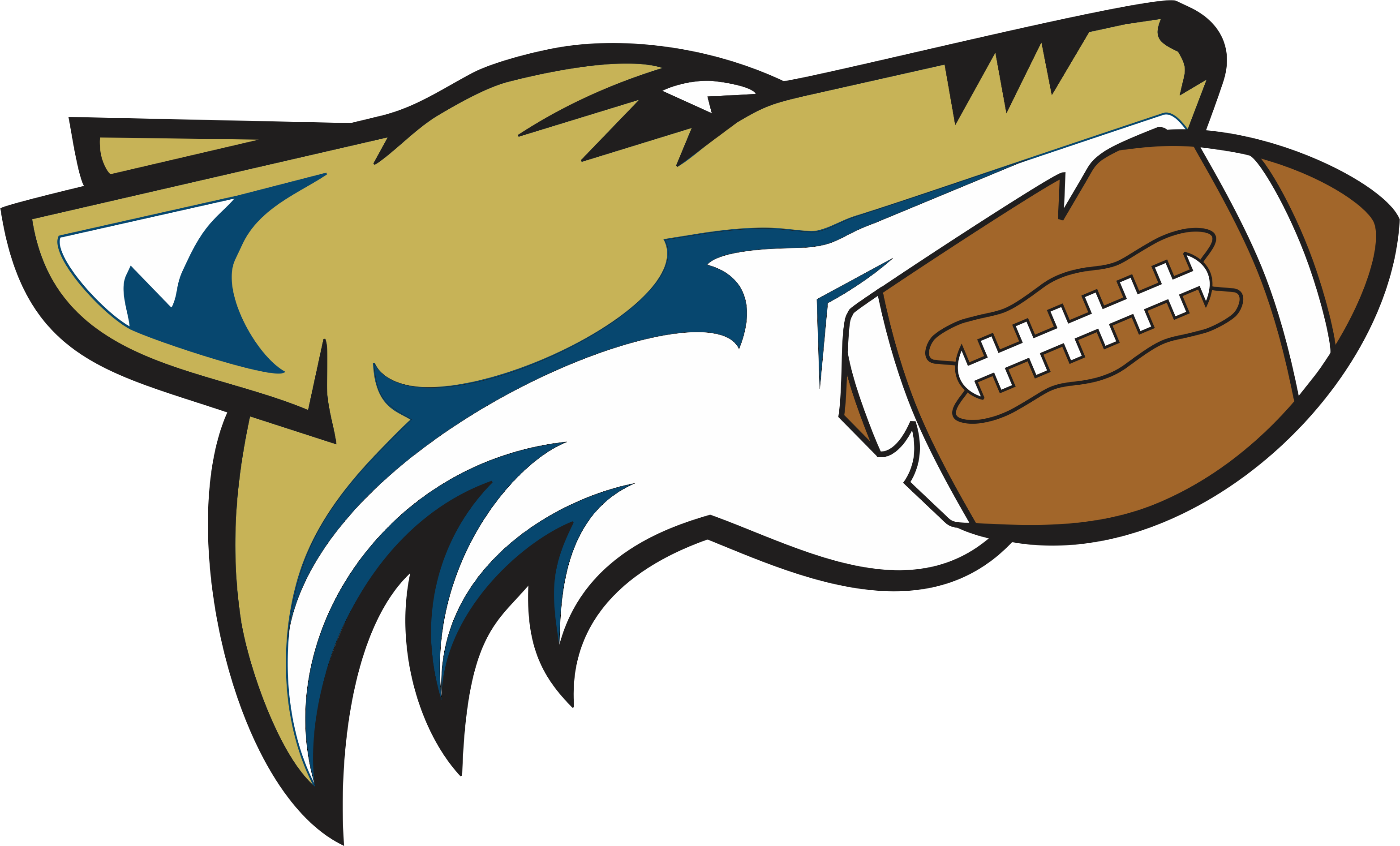 The Spring Hill Hawks Provide A Youth Sports Program - Coyotes (3126x1889)