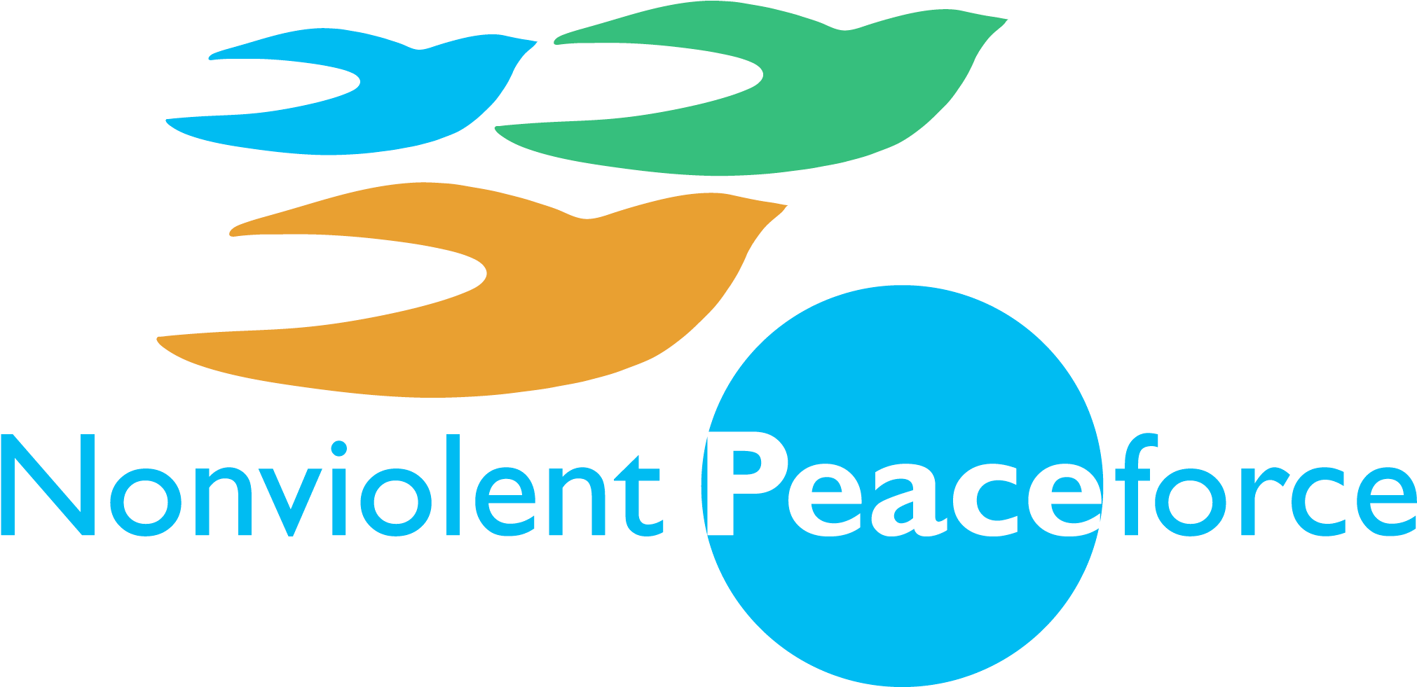 Consultant For A Mid Term Evaluation- Reducing The - Nonviolent Peaceforce Logo (2091x980)