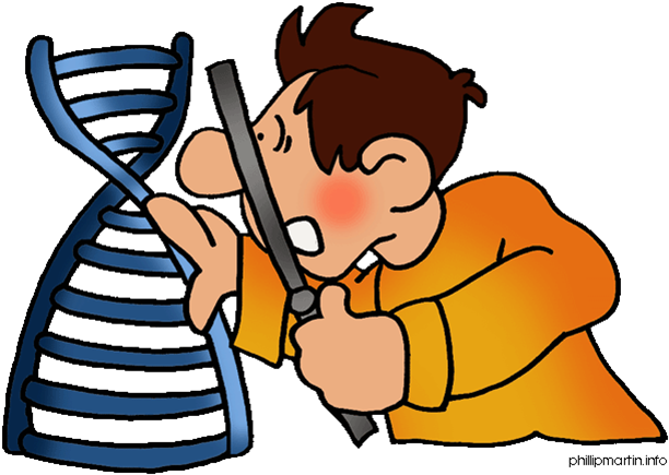 2-enviromental - - Dna Clipart (649x456)