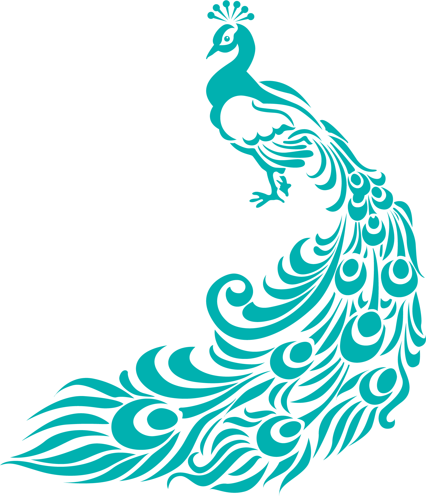 Peacock Border Clip Art Www - Border Design For Assignment (1685x1949)