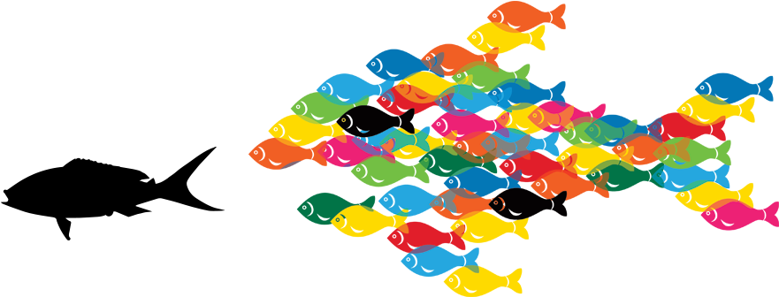 Fish Computer Food Clip Art - Fish (900x355)
